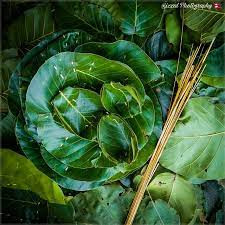 सोह्र श्राद्ध सुरु